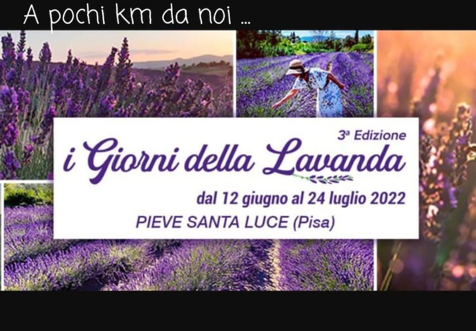 Appartamento Bellavista Castellina Marittima Buitenkant foto