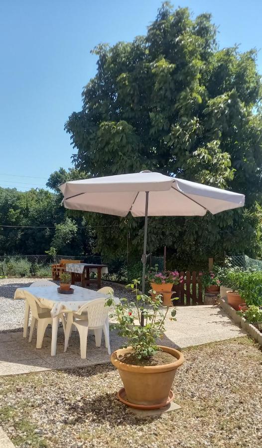 Appartamento Bellavista Castellina Marittima Buitenkant foto